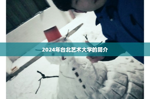 2024年台北艺术大学的简介