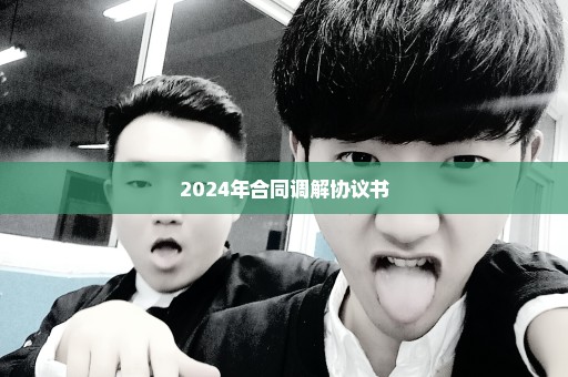 2024年合同调解协议书