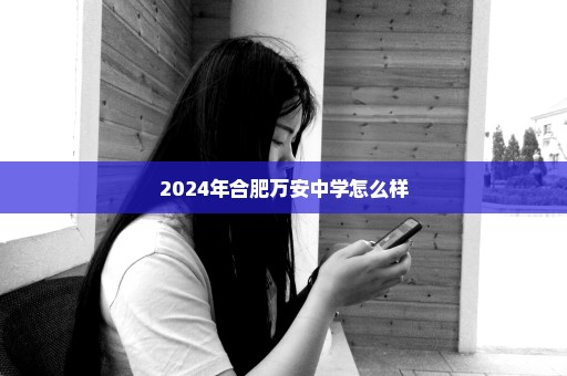 2024年合肥万安中学怎么样