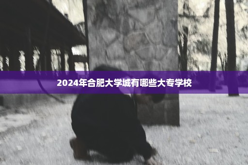 2024年合肥大学城有哪些大专学校