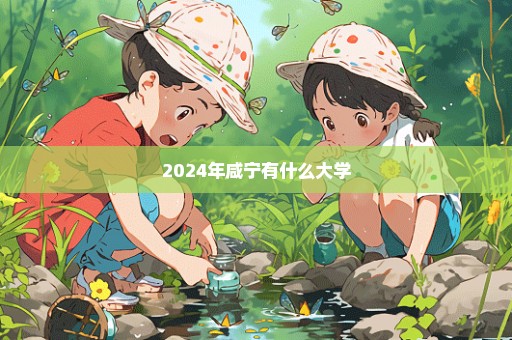 2024年咸宁有什么大学