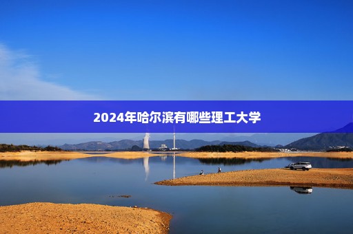 2024年哈尔滨有哪些理工大学