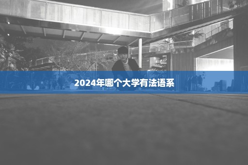 2024年哪个大学有法语系