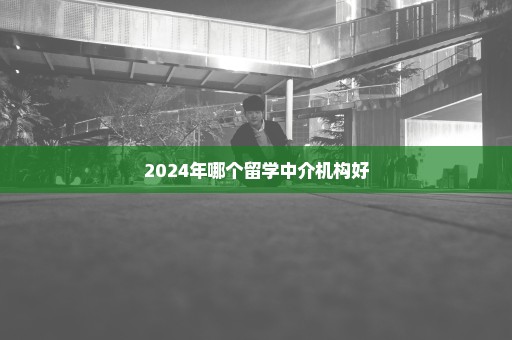 2024年哪个留学中介机构好