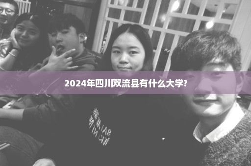 2024年四川双流县有什么大学?
