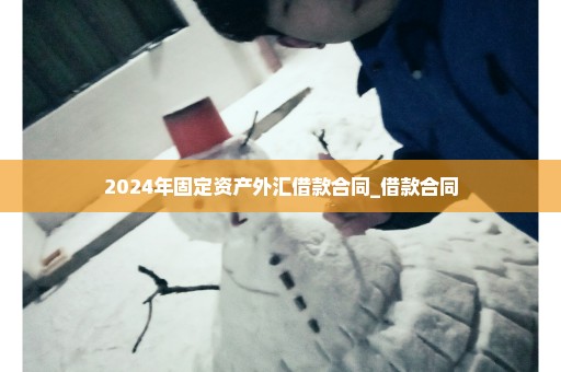 2024年固定资产外汇借款合同_借款合同