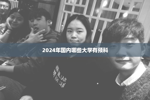 2024年国内哪些大学有预科