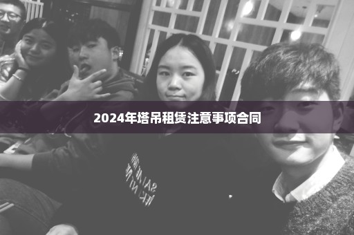 2024年塔吊租赁注意事项合同