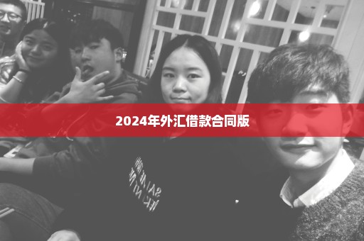 2024年外汇借款合同版