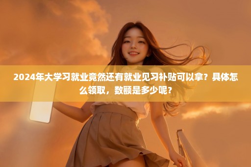 2024年大学习就业竟然还有就业见习补贴可以拿？具体怎么领取，数额是多少呢？