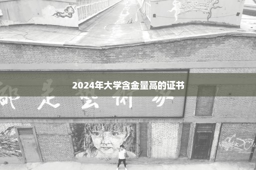 2024年大学含金量高的证书