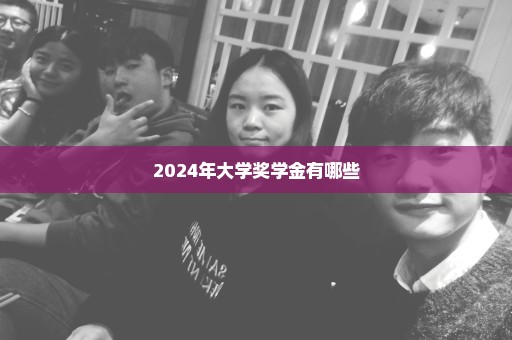 2024年大学奖学金有哪些