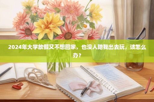 2024年大学放假又不想回家，也没人陪我出去玩，该怎么办？