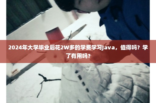 2024年大学毕业后花2W多的学费学习Java，值得吗？学了有用吗？