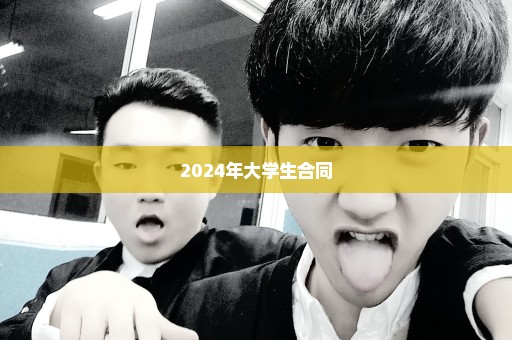 2024年大学生合同