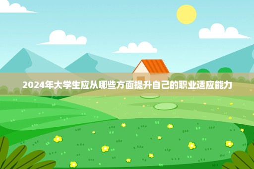 2024年大学生应从哪些方面提升自己的职业适应能力