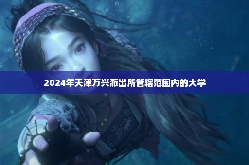 2024年天津万兴派出所管辖范围内的大学