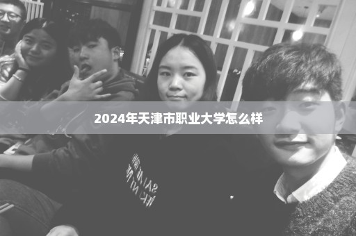 2024年天津市职业大学怎么样