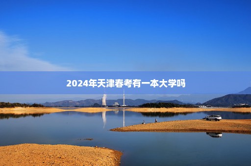 2024年天津春考有一本大学吗