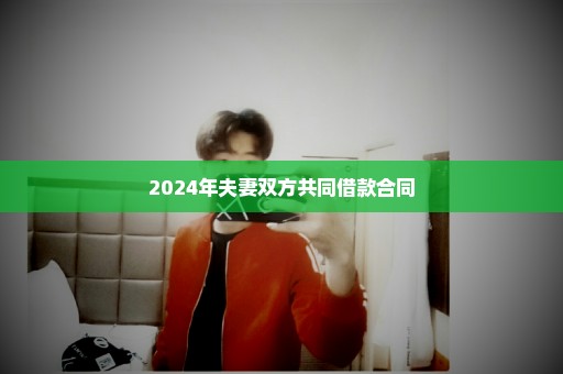 2024年夫妻双方共同借款合同