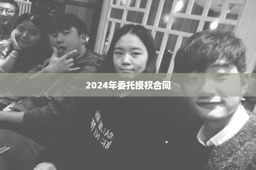 2024年委托授权合同