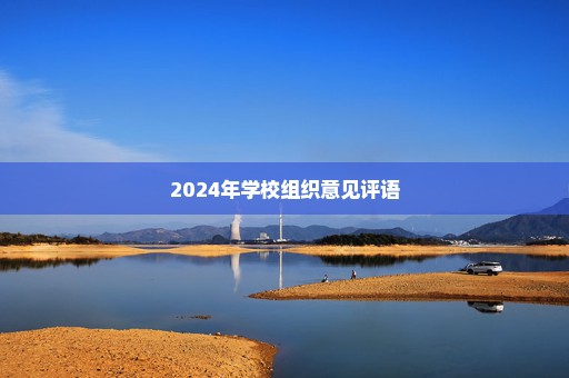2024年学校组织意见评语