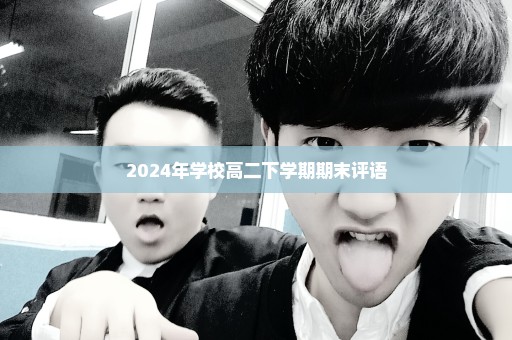 2024年学校高二下学期期末评语