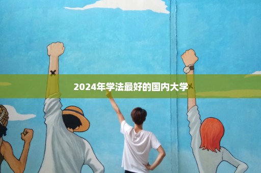 2024年学法最好的国内大学