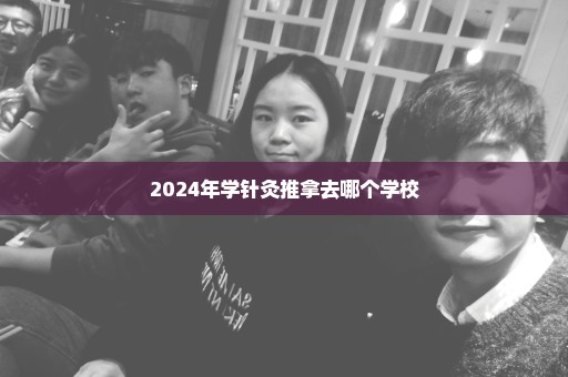 2024年学针灸推拿去哪个学校