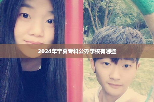 2024年宁夏专科公办学校有哪些