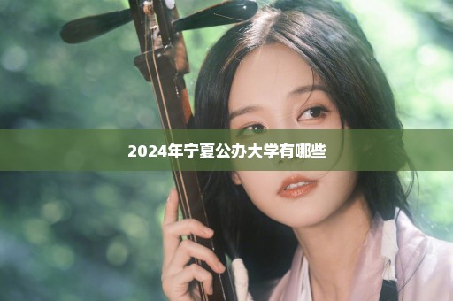 2024年宁夏公办大学有哪些