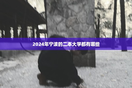 2024年宁波的二本大学都有哪些