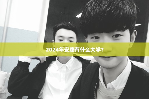 2024年安康有什么大学？