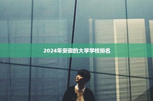 2024年安徽的大学学校排名