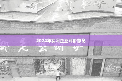 2024年实习企业评价意见