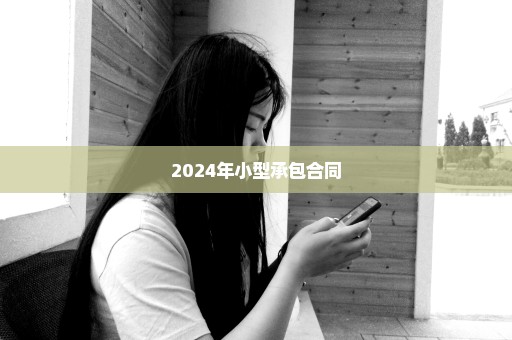 2024年小型承包合同