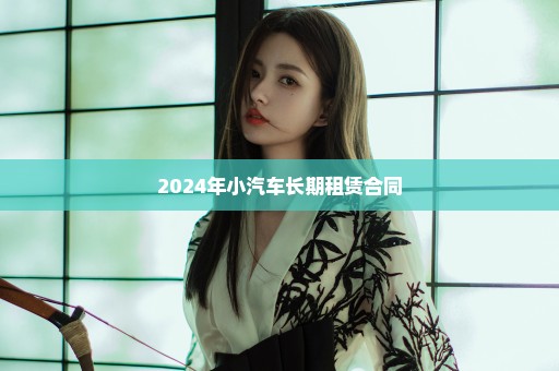 2024年小汽车长期租赁合同