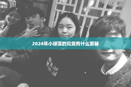 2024年小球藻的究竟有什么奥秘