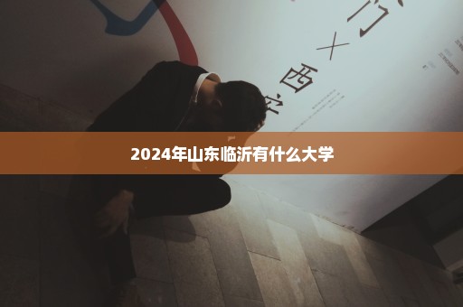 2024年山东临沂有什么大学