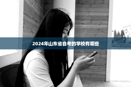 2024年山东省自考的学校有哪些