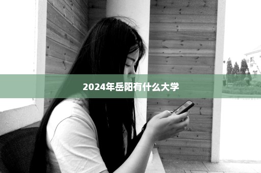 2024年岳阳有什么大学
