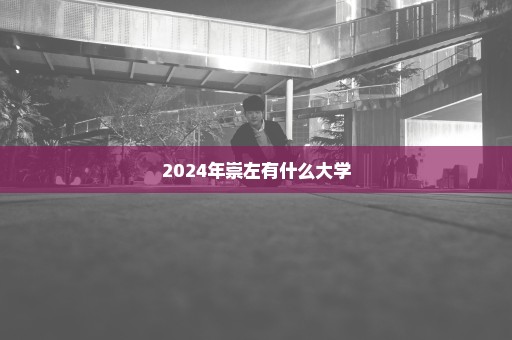 2024年崇左有什么大学