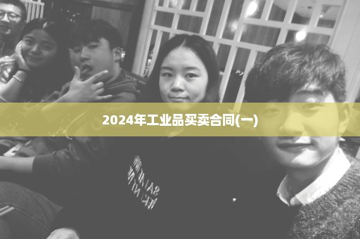 2024年工业品买卖合同(一)