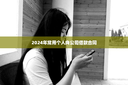 2024年常用个人向公司借款合同
