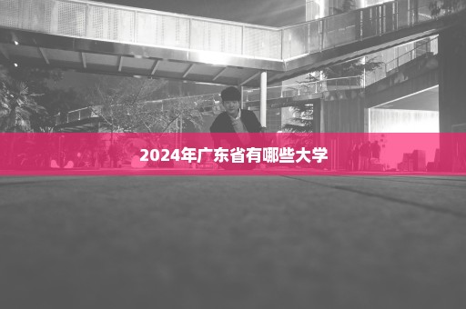 2024年广东省有哪些大学