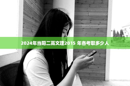 2024年当阳二高文理2015 年各考取多少人