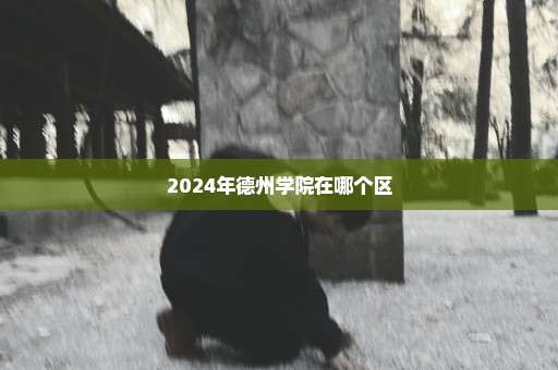 2024年德州学院在哪个区