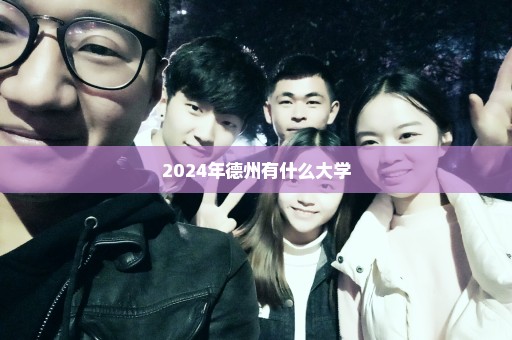 2024年德州有什么大学