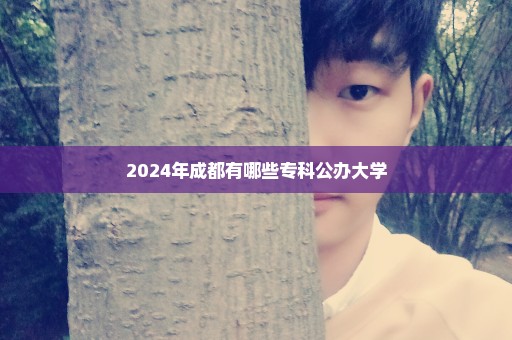 2024年成都有哪些专科公办大学