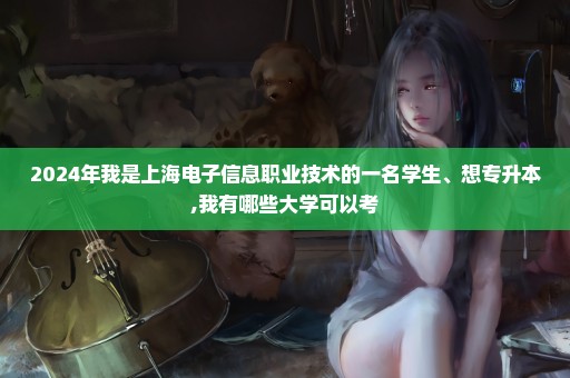 2024年我是上海电子信息职业技术的一名学生、想专升本,我有哪些大学可以考